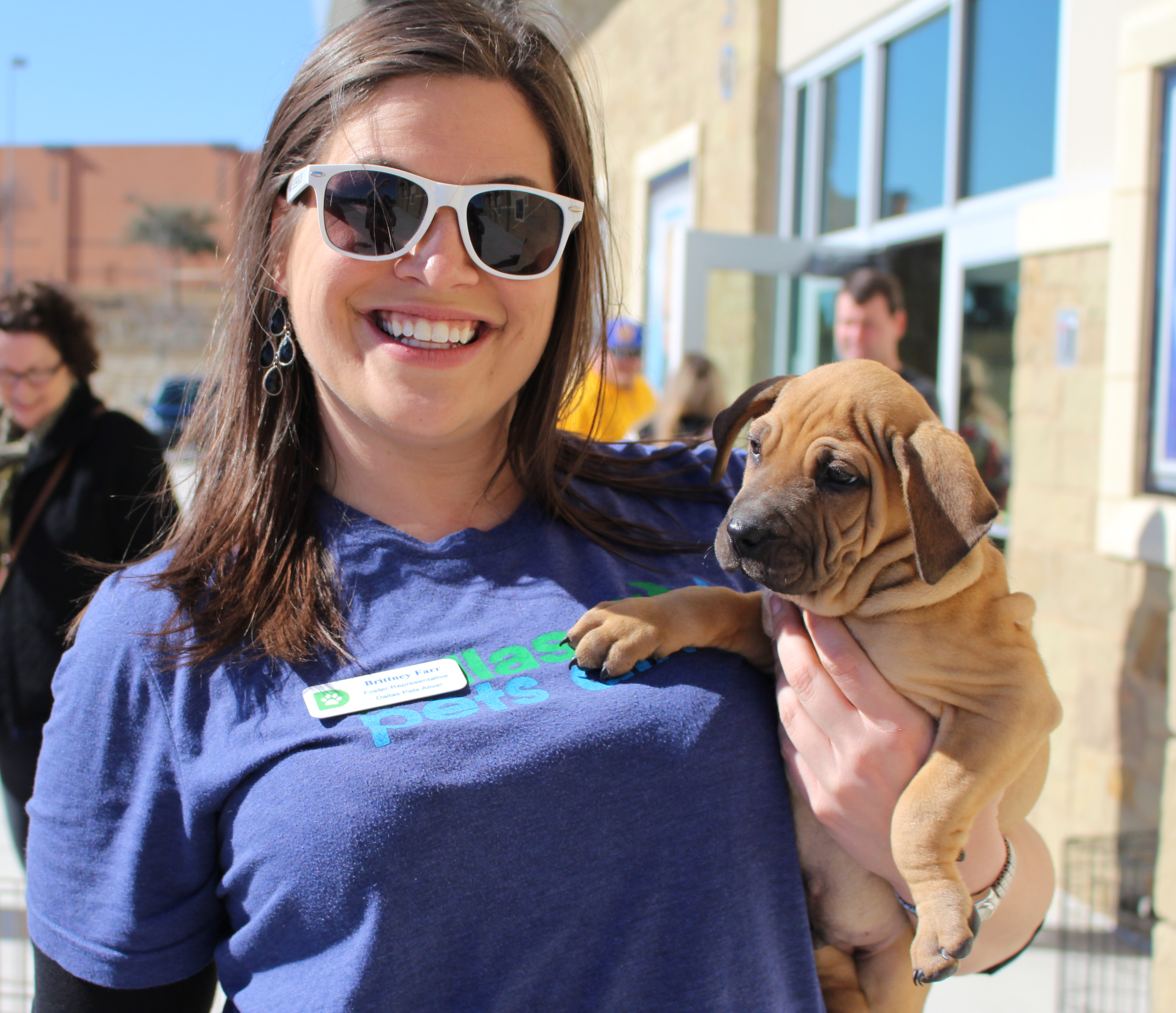 Dallas Pets Alive! | Saving Lives in Dallas