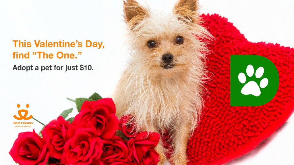 Find THE ONE this Valentine's Weekend.