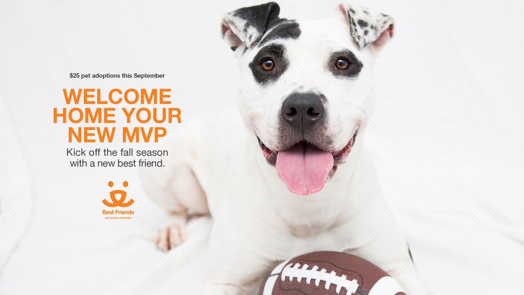 rescue dog mvp promo