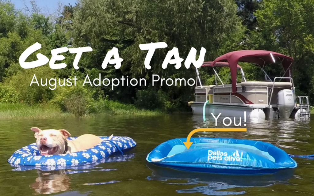 Get a Tan Adoption Promo