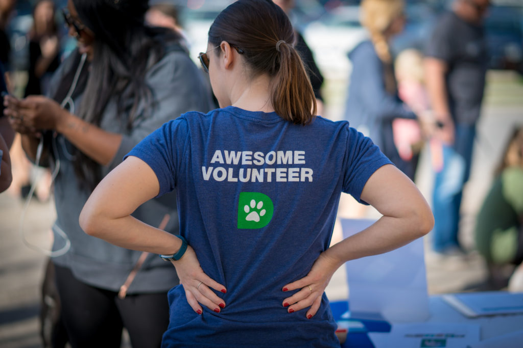 Volunteer Appreciation Week 2024: Honoring the Heartbeat of DPA