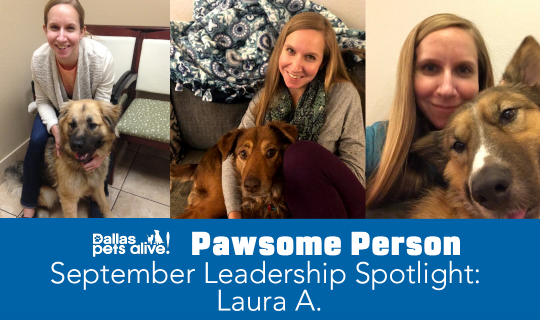 DPA’s Pawsome People: September 2019 Volunteer Spotlight