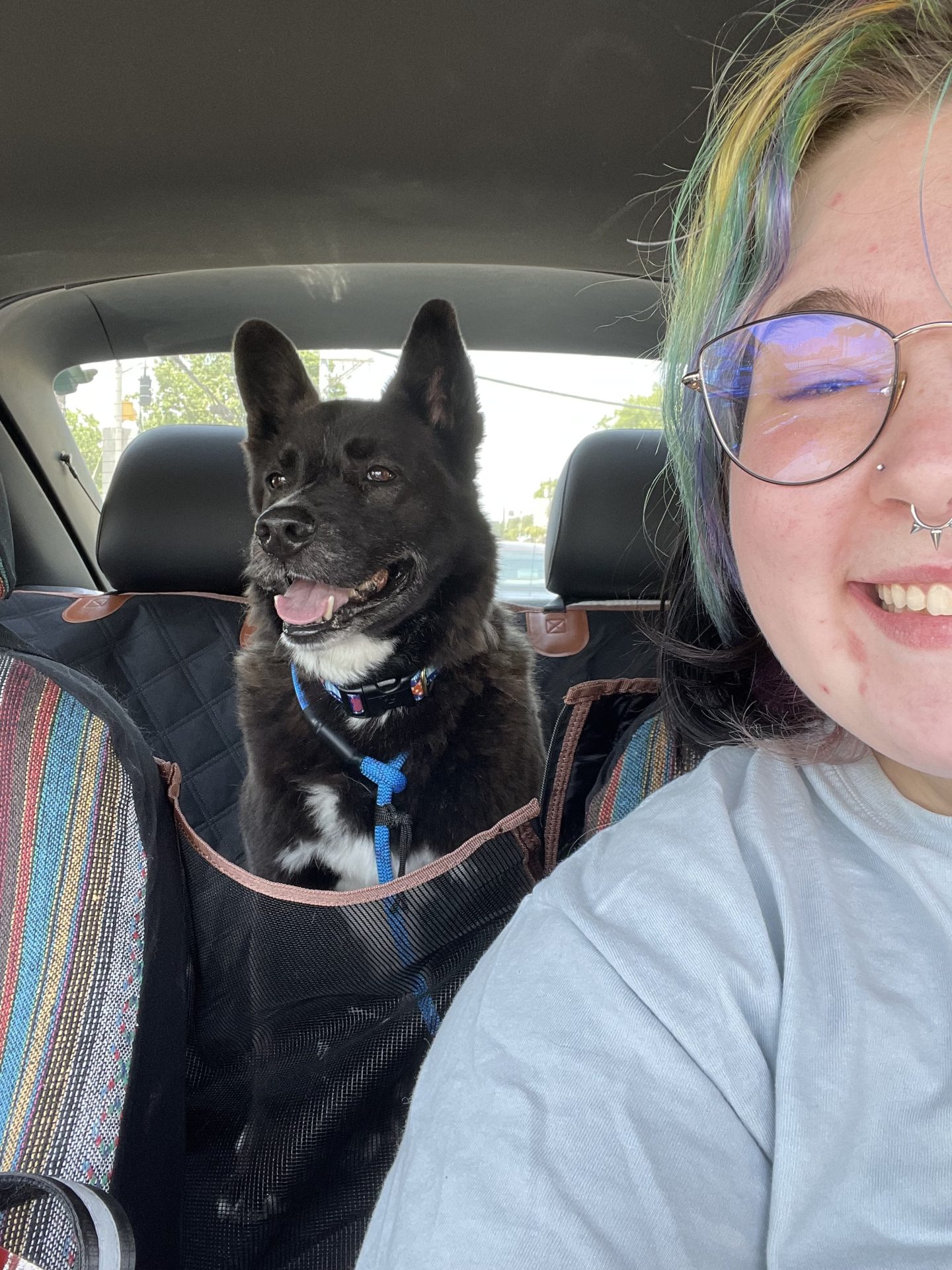 A 7-Year-Old Dog Finds Love After Nearly 5 Years in a Shelter, HSDC 1 Ollie and new mom Bobbie