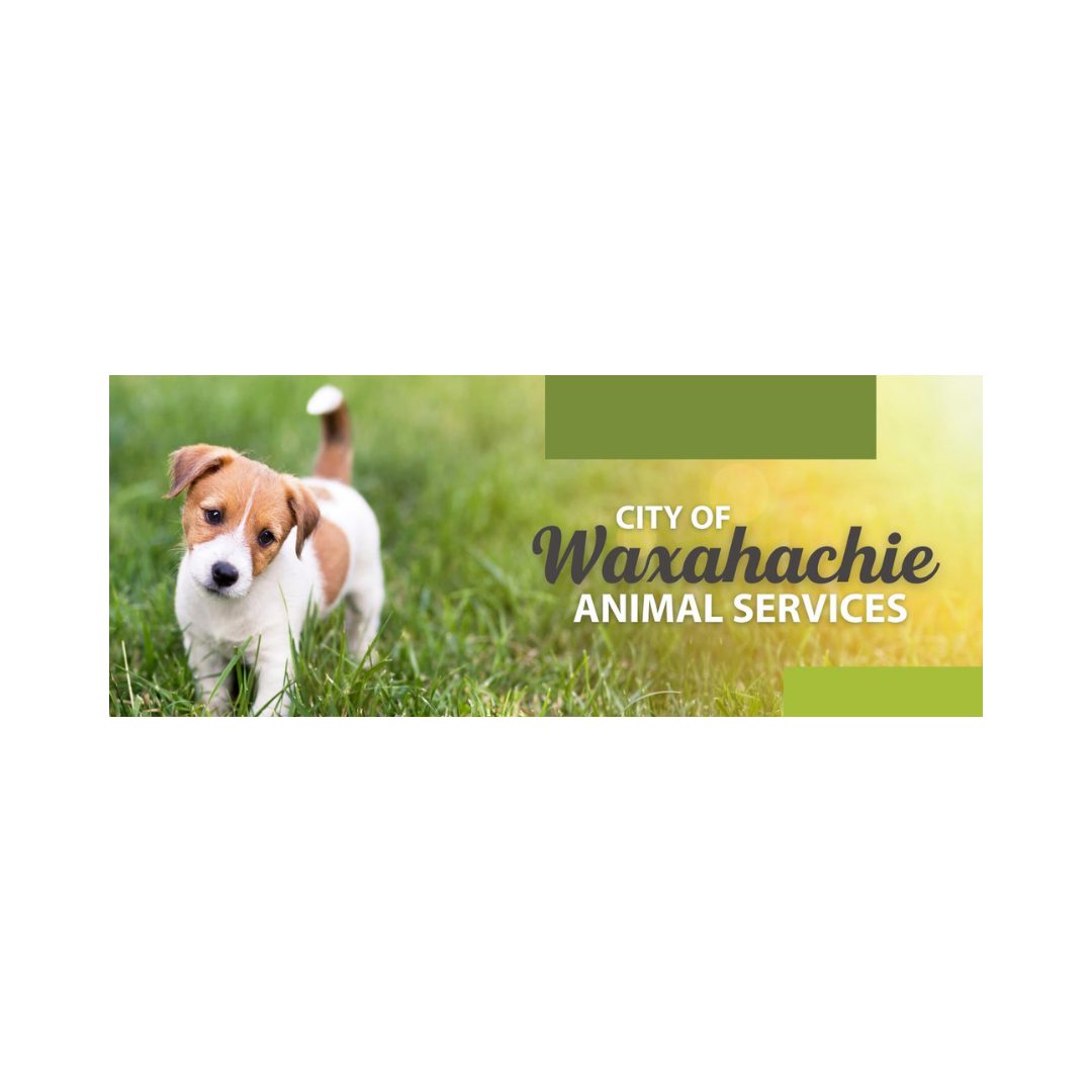 City of Waxahachie Animal Services