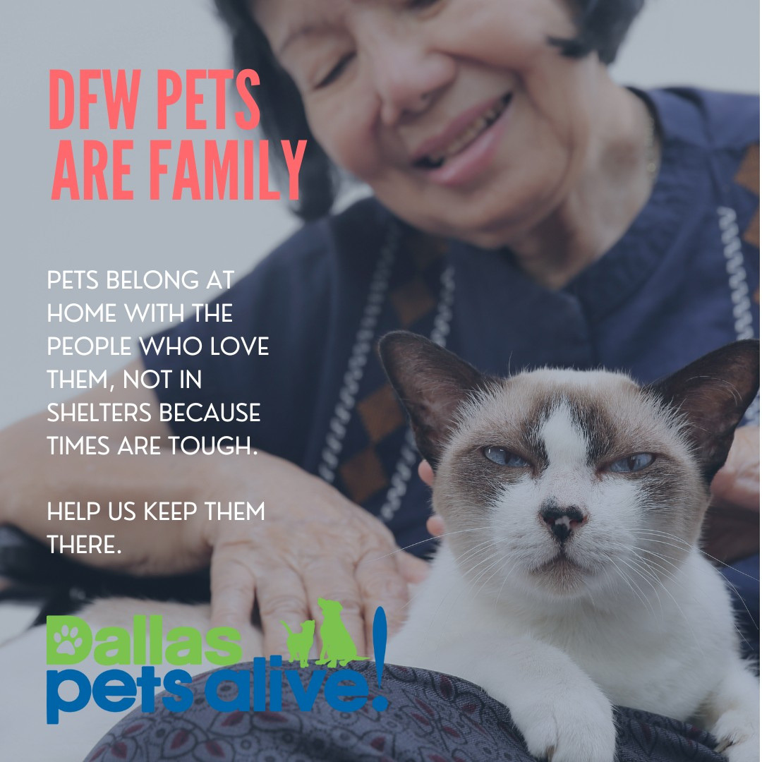DFW Pets Are Family