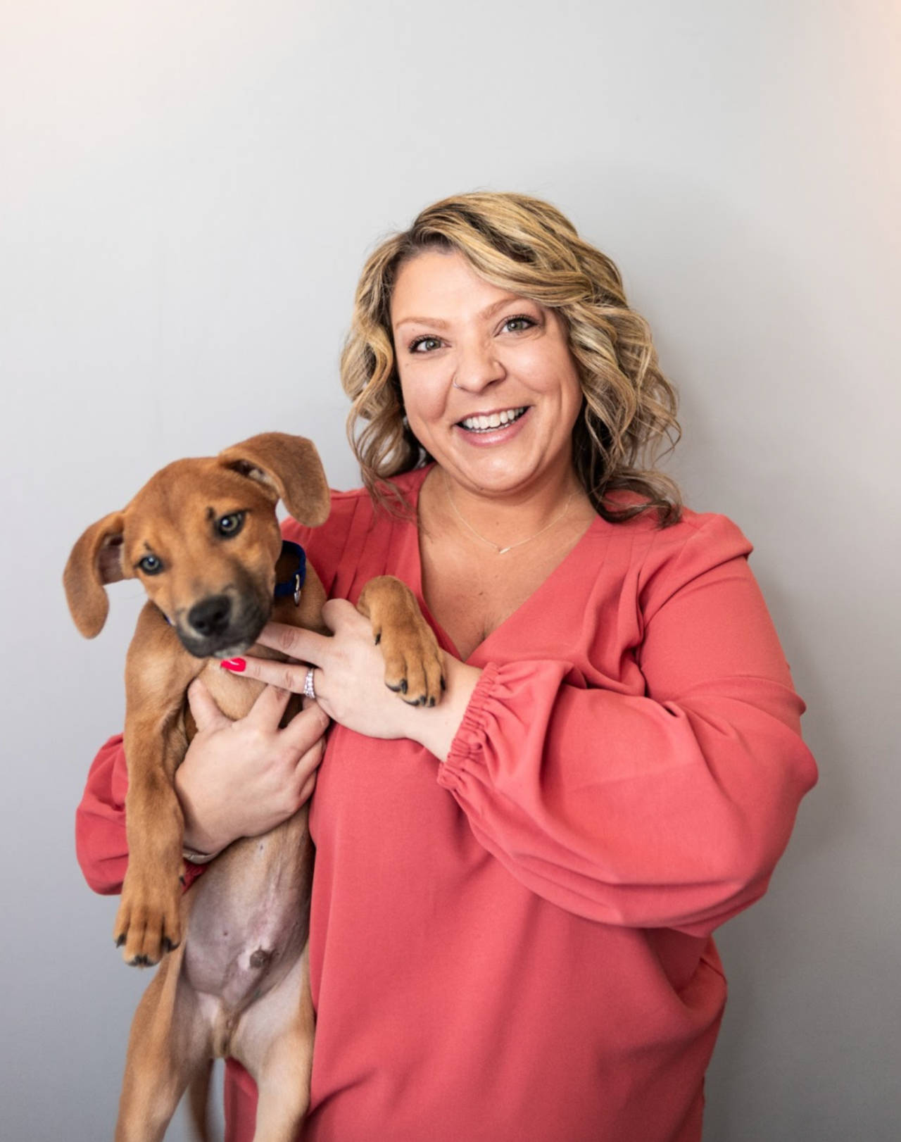 Craigslist Dallas Pets For Sale By Owner - de3q3mo