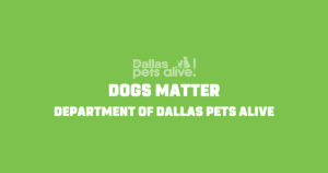 Dogs Matter: a department of Dallas Pets Alive