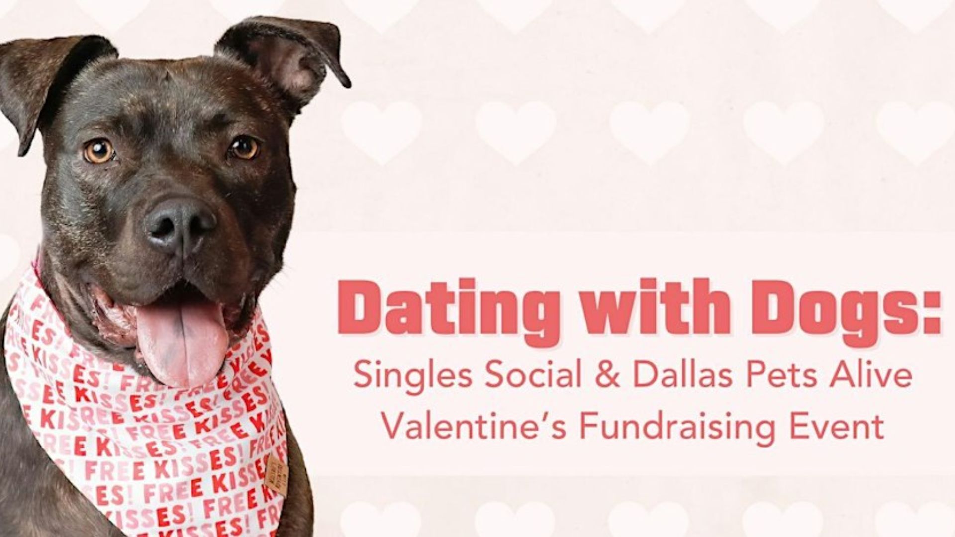 Dating with Dogs