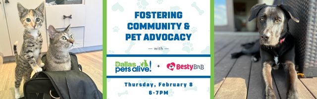 Fostering Community & Pet Advocacy with Dallas Pets Alive! and BestyBnB, Thursday, February 8 from 6-7pm