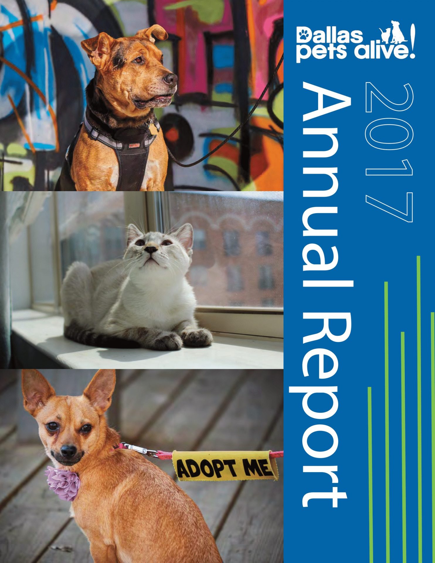 Dallas Pets Alive 2017 Annual Report