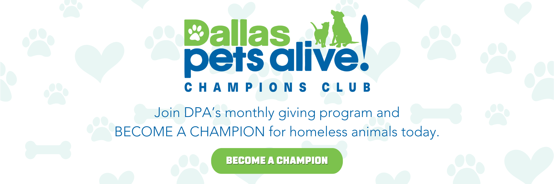 Join DPA's monthly giving program and BECOME A CHAMPION for homeless animals today.