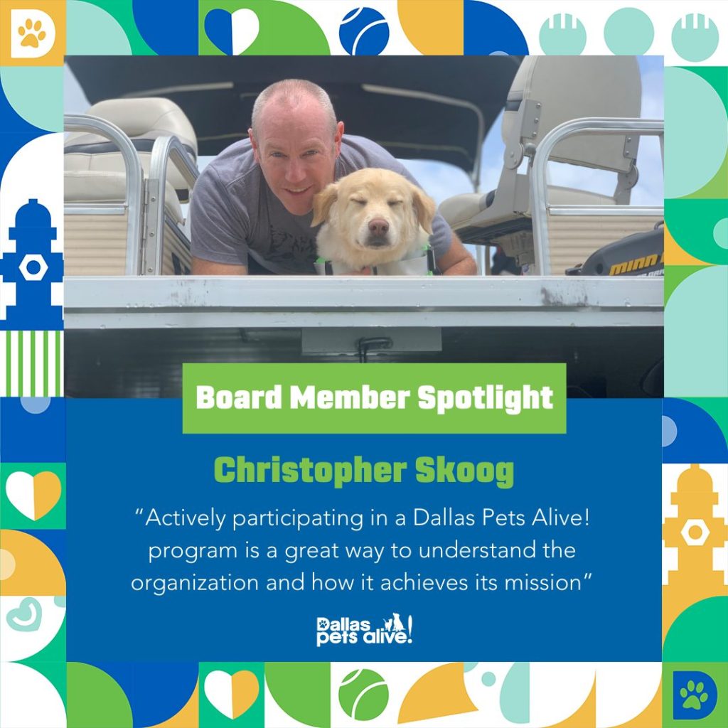 Board Member Spotlight LinkedIn