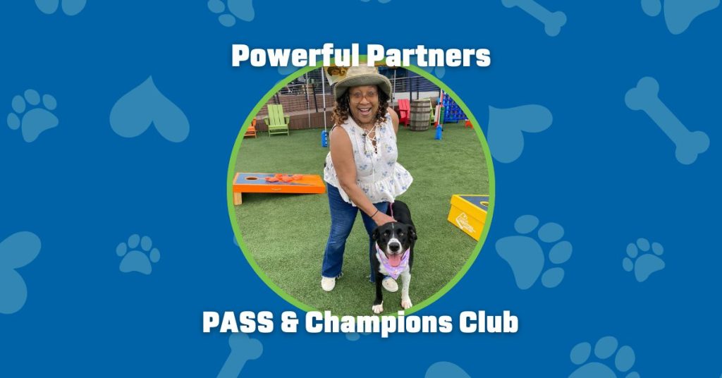 Champions Club and PASS header