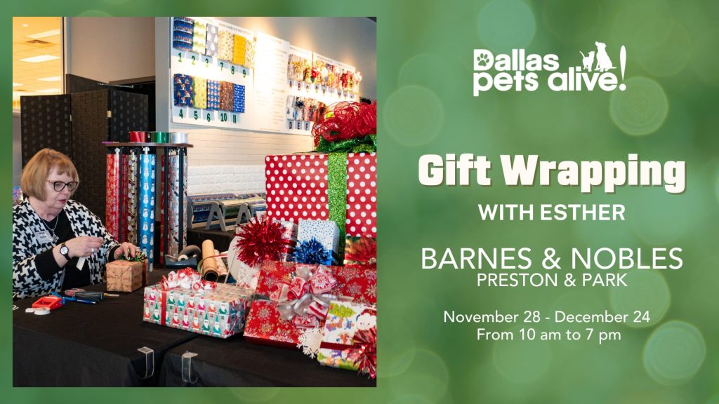 gift wrapping to help homeless pets at DPA