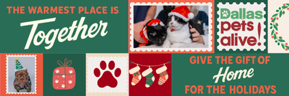 Give the gift of home this holiday season