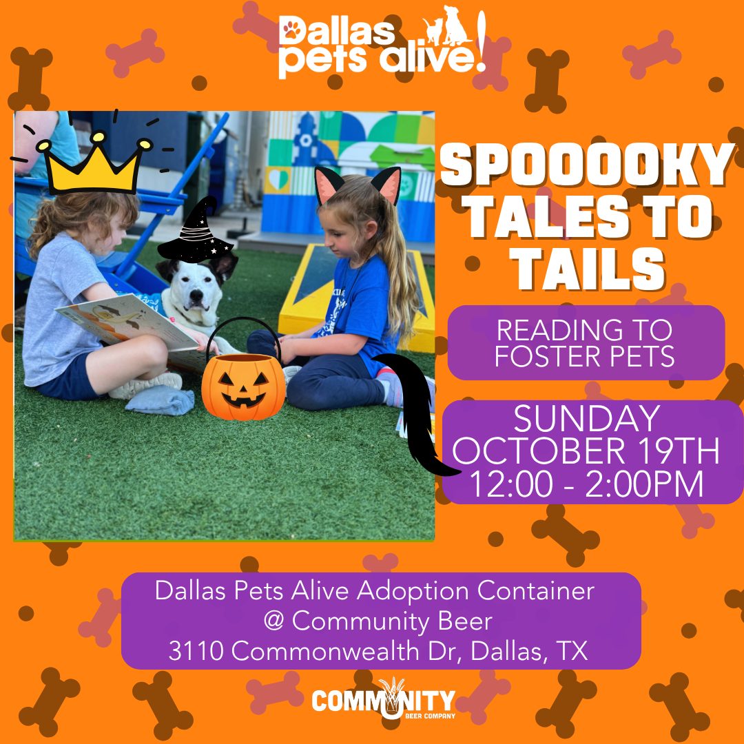 Spooky T2T