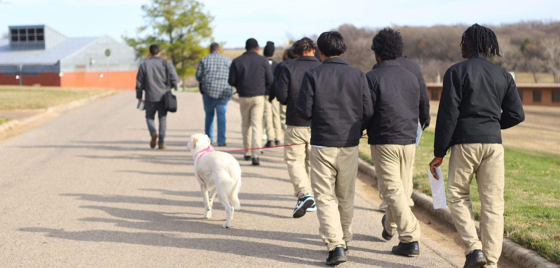 life-saving work at The Bark Dorm