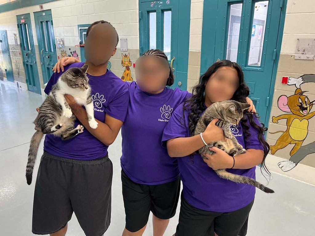CATS Dorm Has Changed More Than Just The 9 Lives It Has Saved 4 462093864 839177088381357 844020108439091648 n
