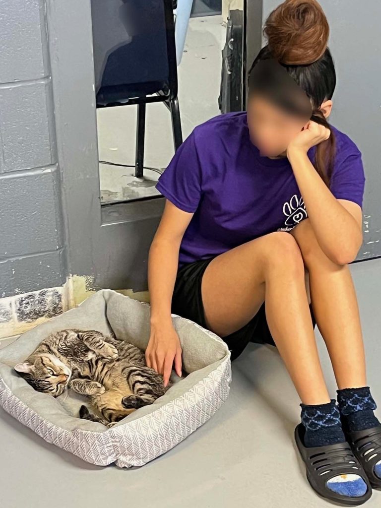 CATS Dorm Has Changed More Than Just The 9 Lives It Has Saved 2 Quinn