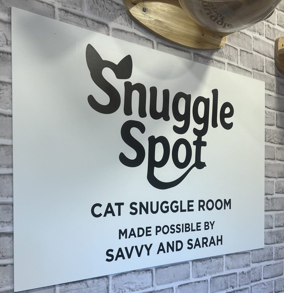 The Snuggle Spot: A Hands-On Sanctuary for DPA! Adoptable Cats 1 Snuggle Spot