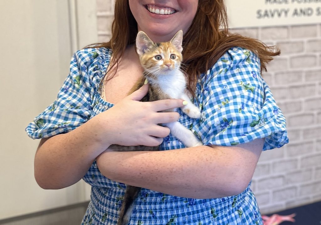The Snuggle Spot: A Hands-On Sanctuary for DPA! Adoptable Cats 2 IMG 4857 1