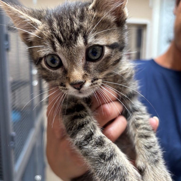 14d2bdc9d660d13739e63cd1795abd68