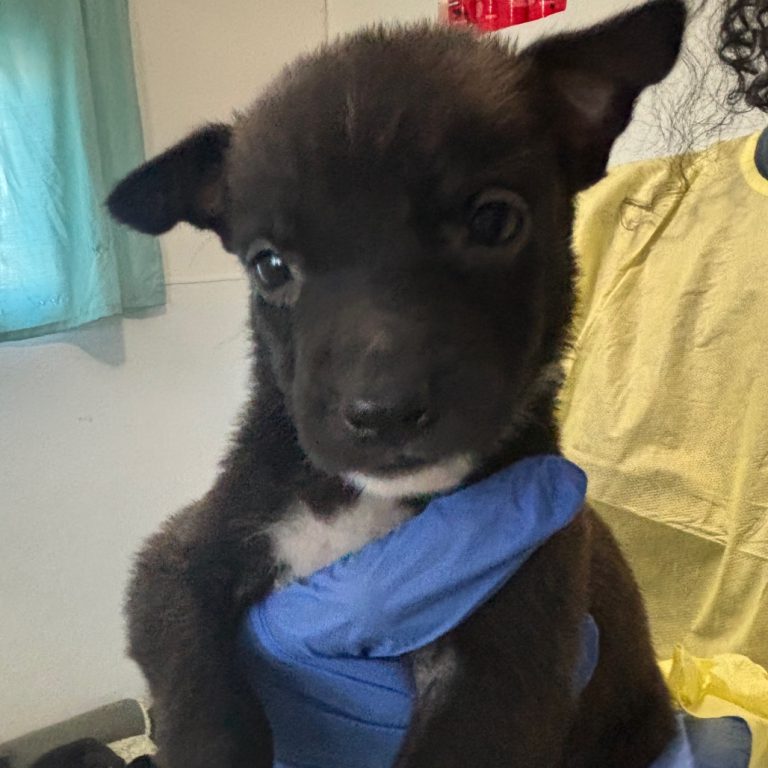 2ccd7c874aafdb22e14a38b2989cf62d