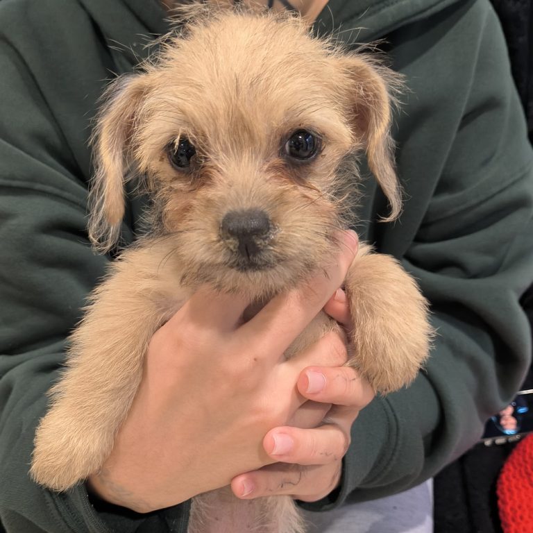 31f1b4ed682d29c6174fae9d3ad96d67