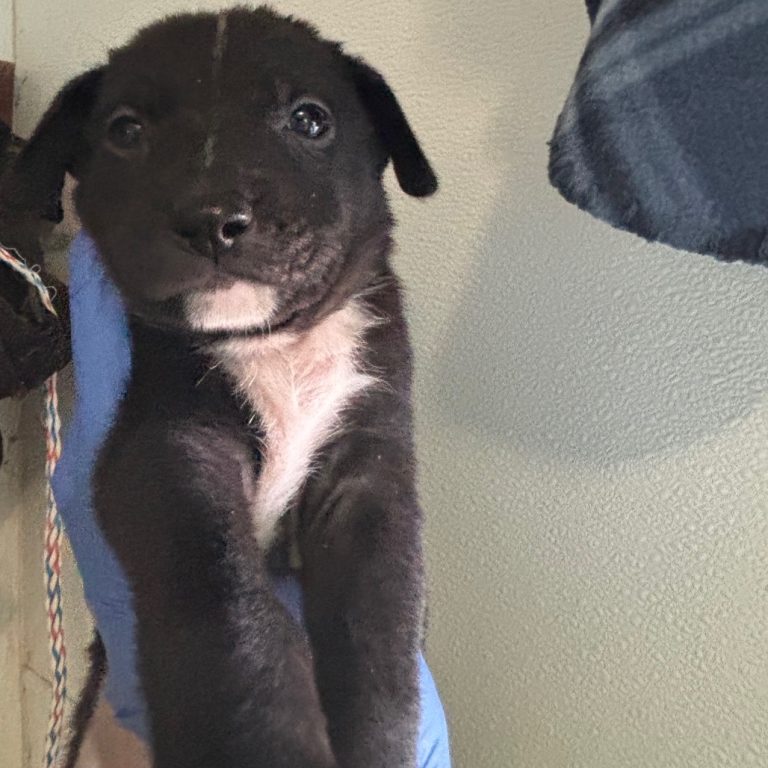 46b25fc6b320b0c1282e35fedbc7b585