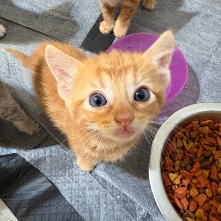 4f15487673bb521bce7975970b2c3fa0 28