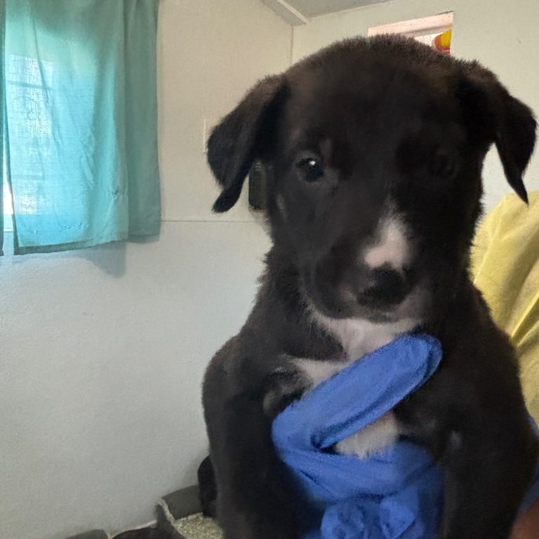 6a7ab60d63a4000ad42d23c62f47b20d