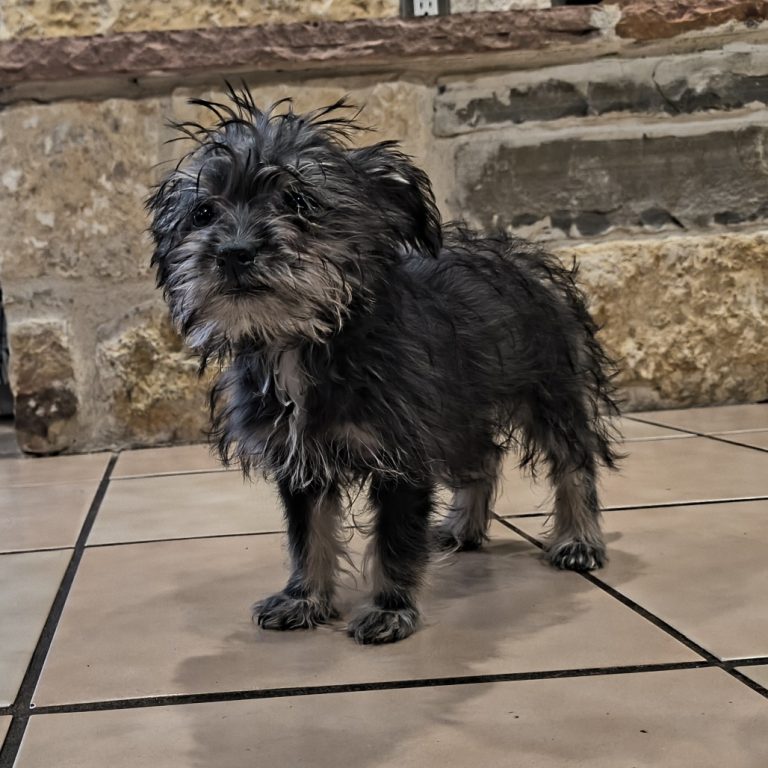 6dbbc5c22bc3f0a41a289cf950fd5c0a