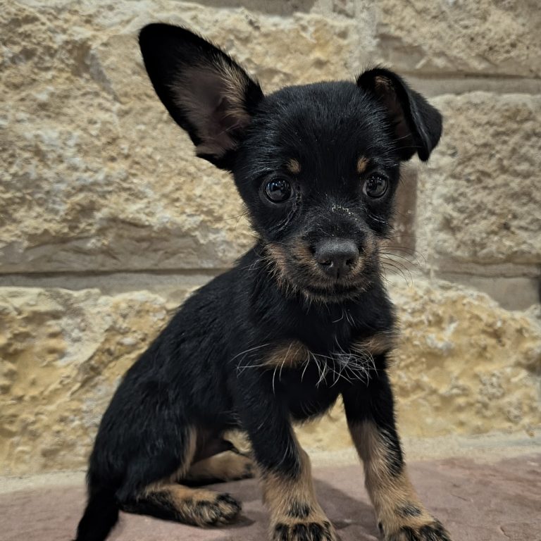 7795285dcac535fa57e48f699c9af9c3