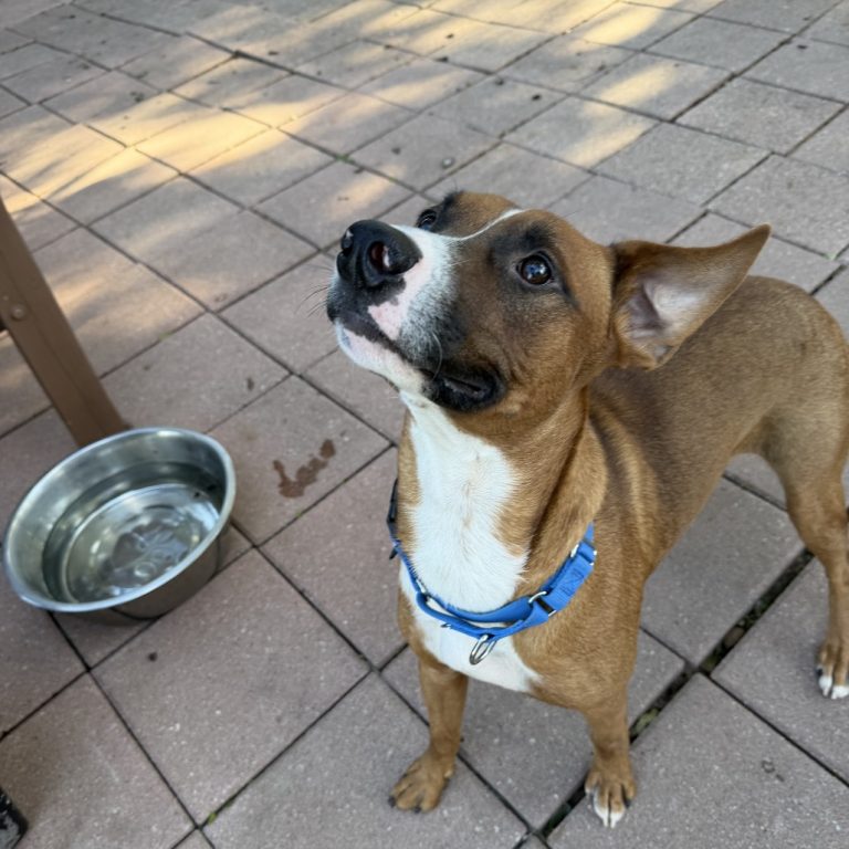 7f4064ee2ec5fbefd299003535f80bf5