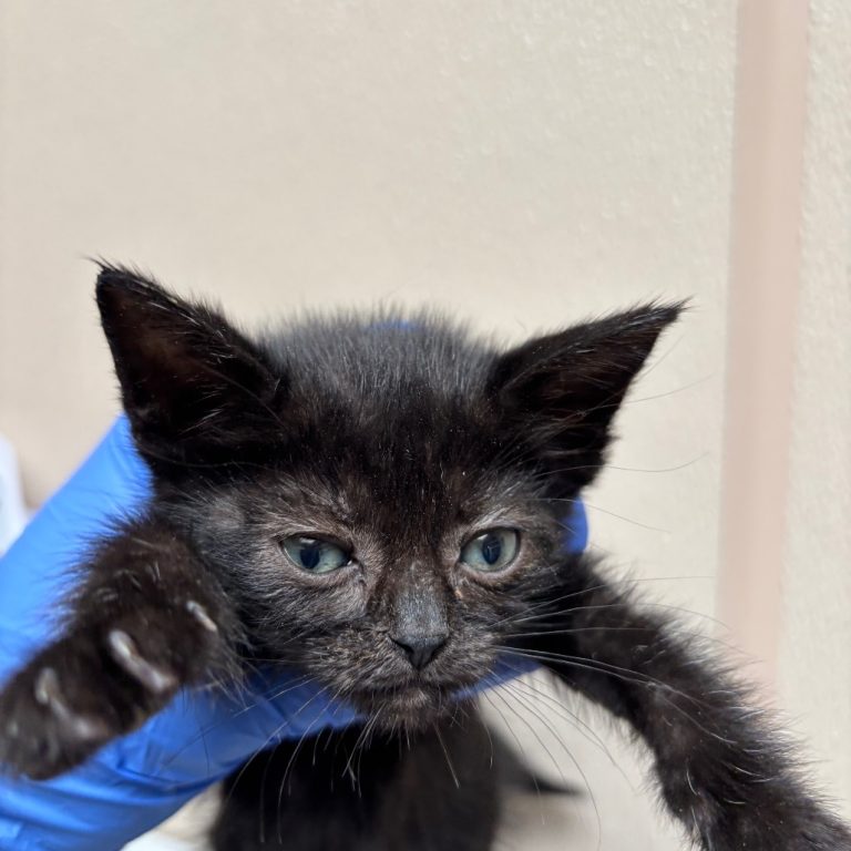 8166662986f2a3af994383453fa7d44a