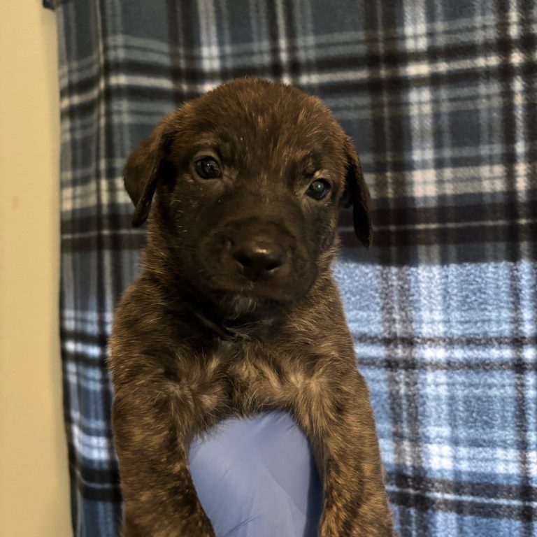 8e859d9e85b9e81447cf3645e46a7de0