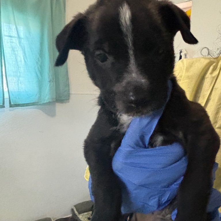 94842b1496248f232211587b53b17667