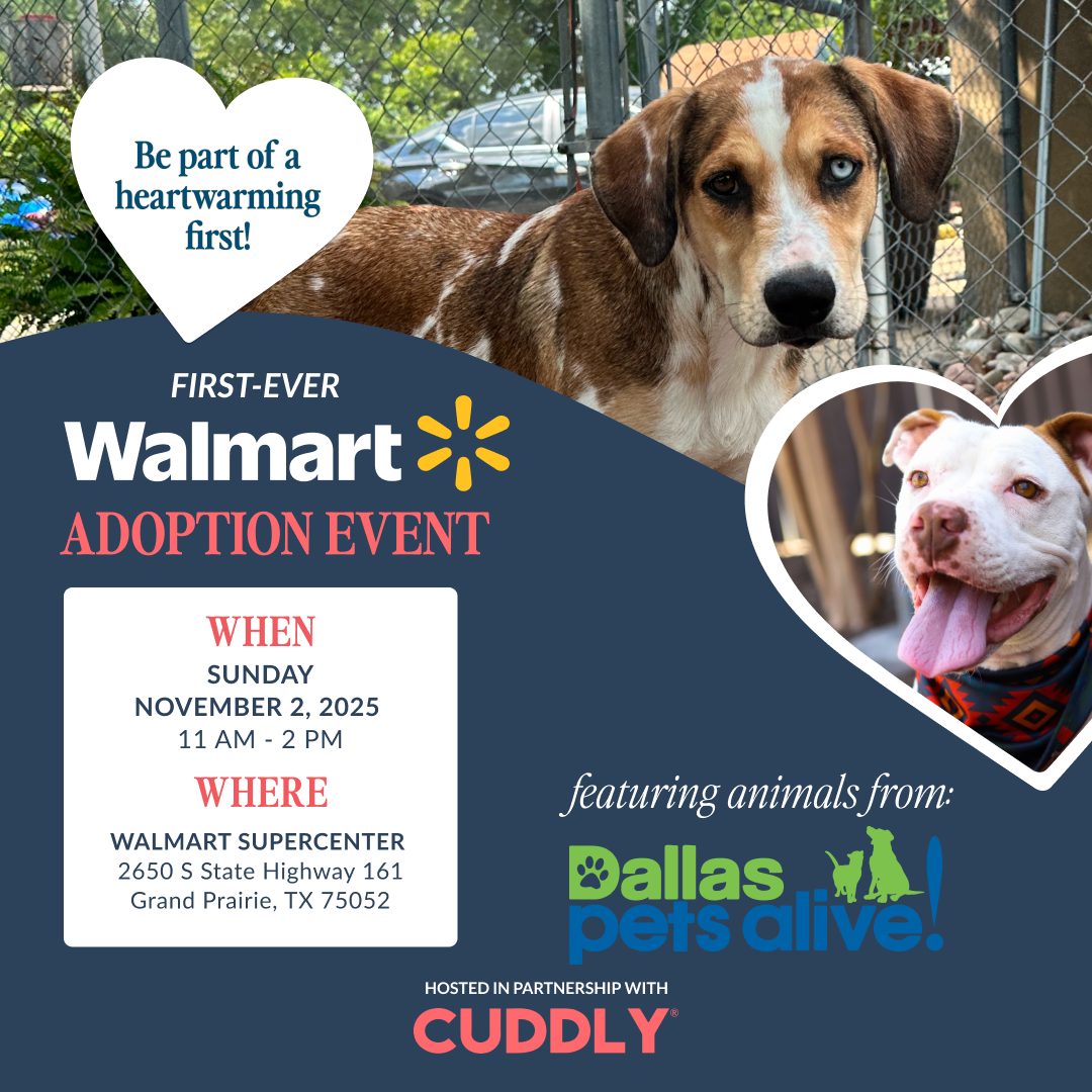 Cuddly Adoption Event 1