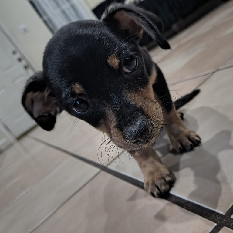 a068d0ac5f7eaad9768d83fb55cdfbb7