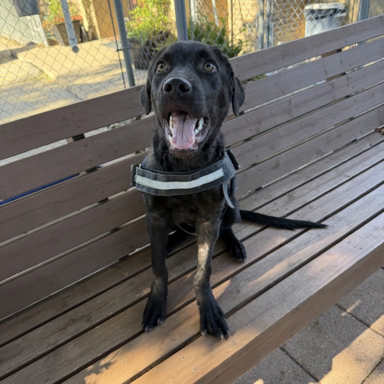 cd036ed30fa6359893005c65dfc4e10f