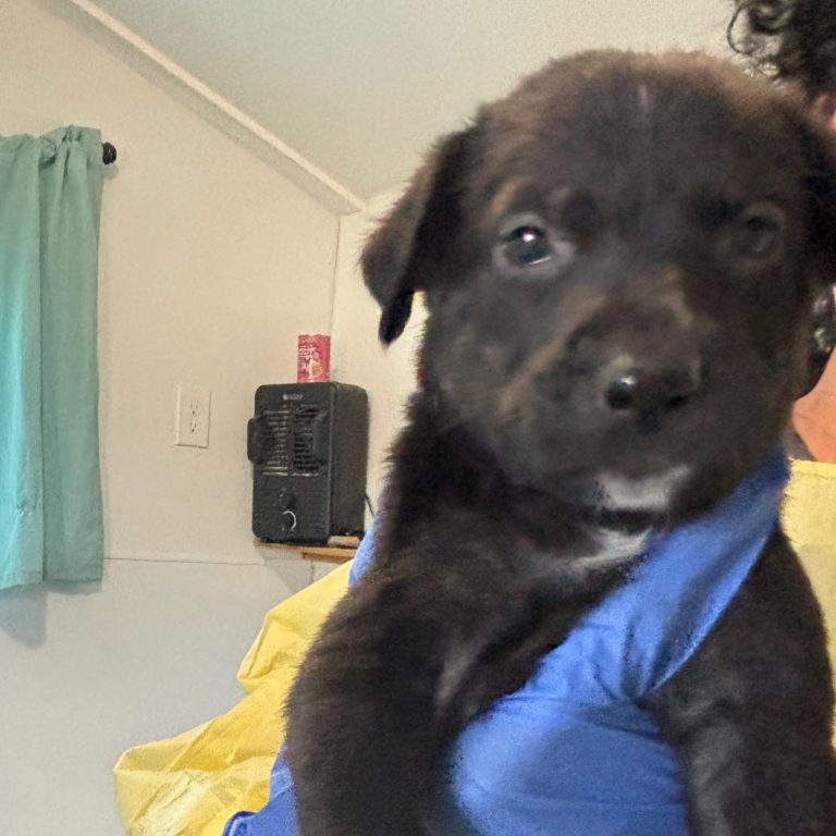 cf39e3c3cd3e7f982cc41c2ef515c7be