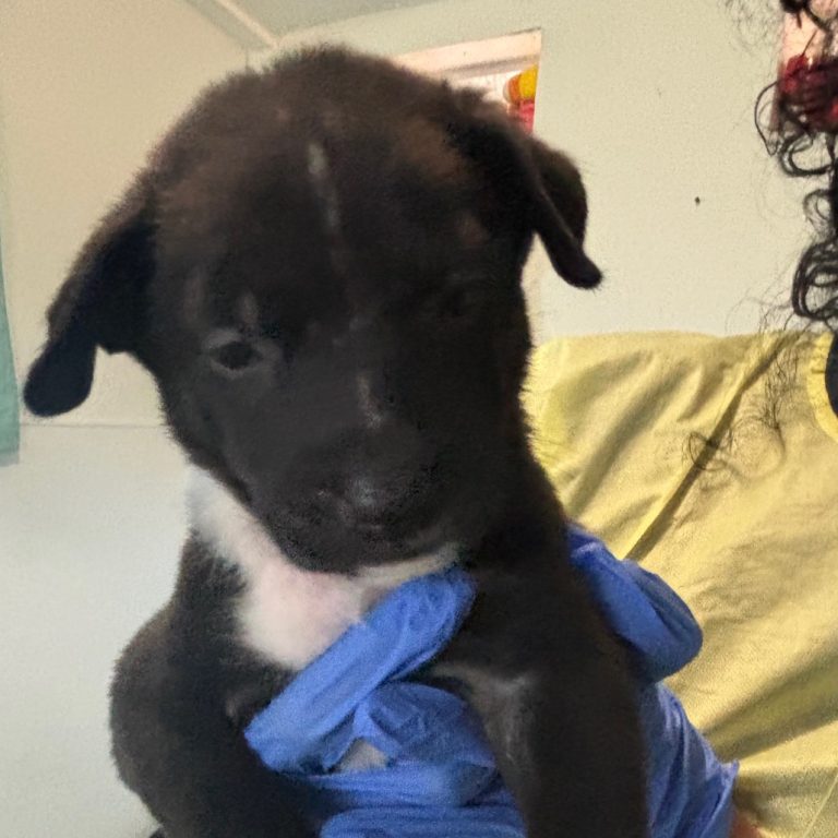 df797dfb00a17df65ca08f7d9a3b132e