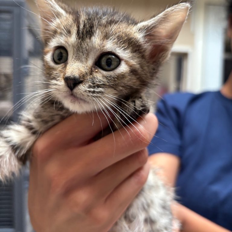 e13ffaa953fae6b456d937a7a8457ff7