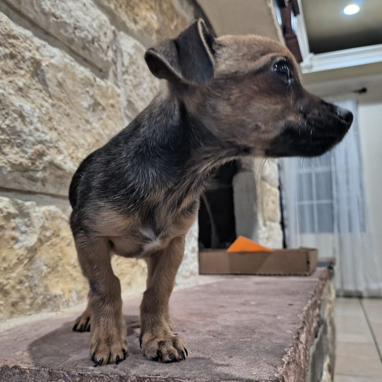 e31f24c4f3af28e216e3cf700d623218