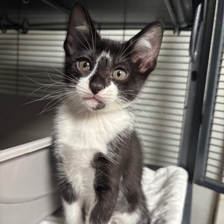 ebb0c7a693d5755adff08e84d2f9a9c5