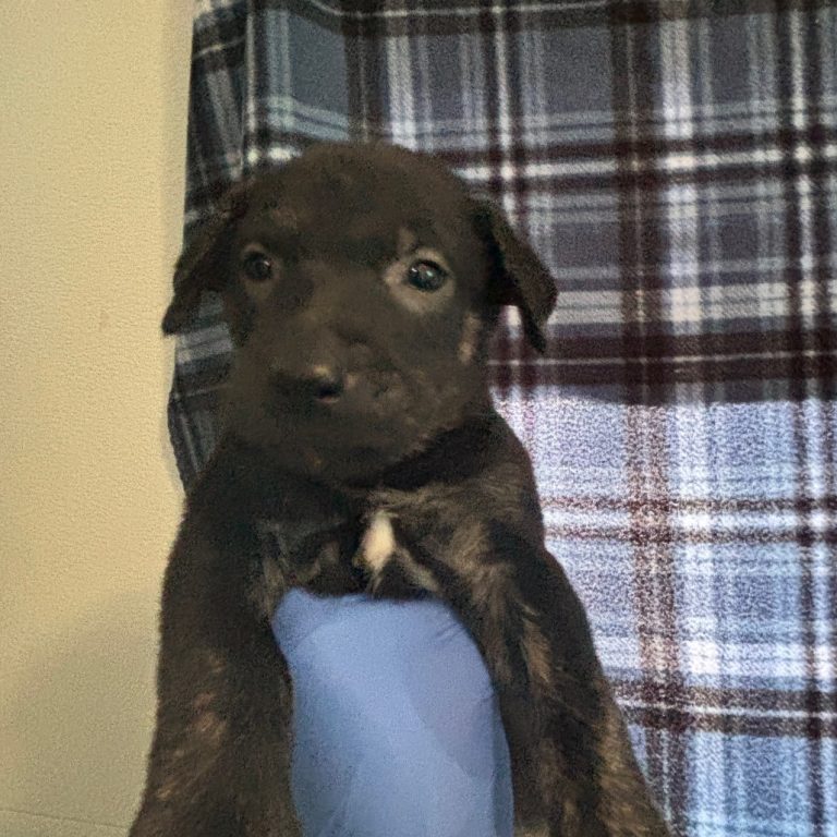 f7a5d865b2f7c40ee13aec069588edc9