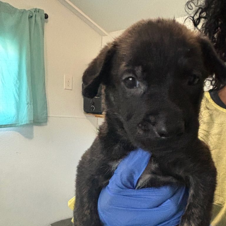 f9dfcff6b48e8713f4493d63956bba07