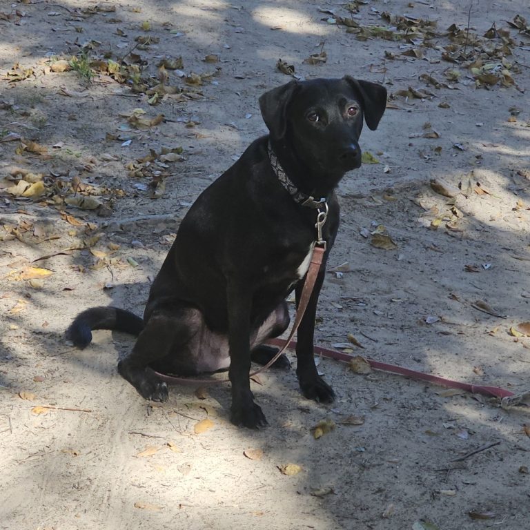 0258275dd097af4e0011e2854748dafb