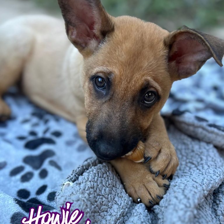 0619cbd66011f2916e1c1ad7a4c6751a