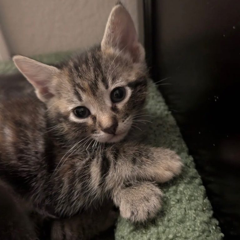 077b5674a30c790d5b03ef210c63506a